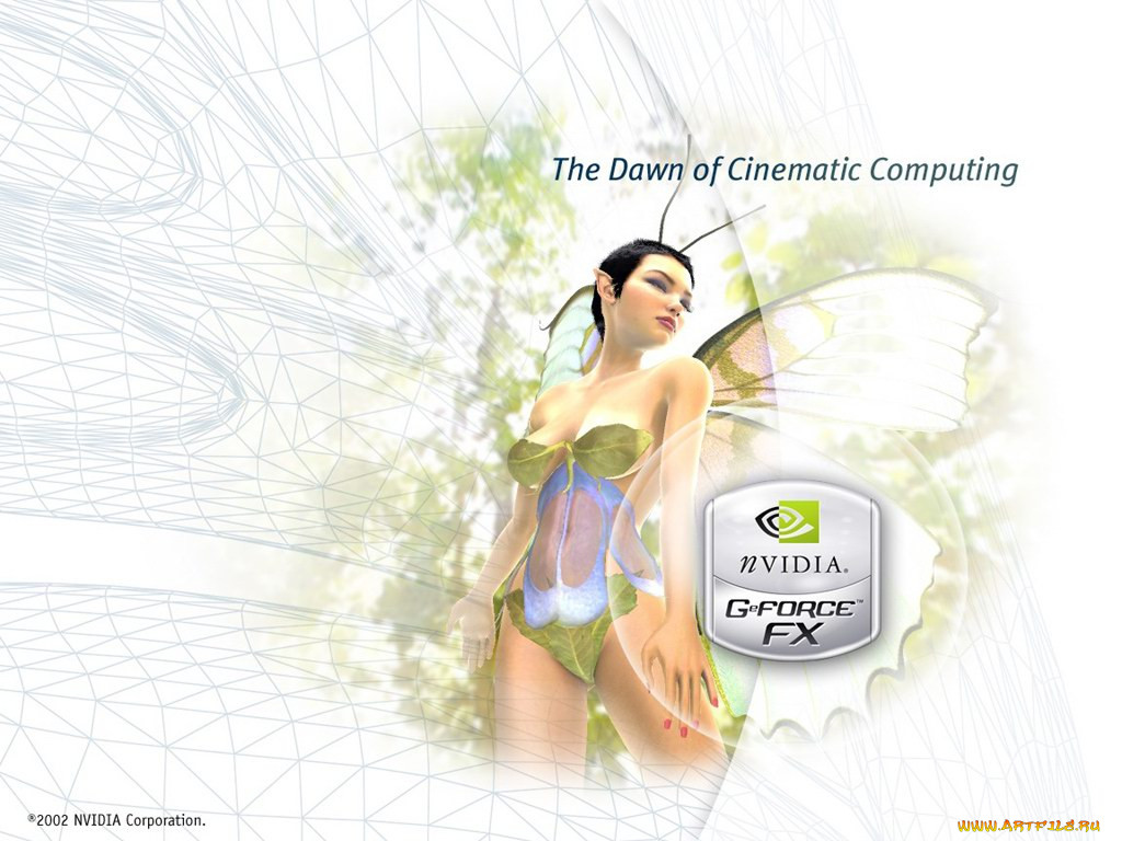 , nvidia